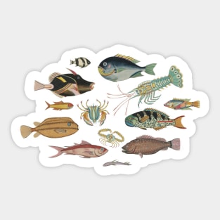 So Many Fish Yellow #1 - Vintage Marine Biology Pattern Sticker